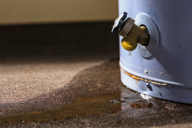 Best Ceiling water damage repair  in Warsaw, VA