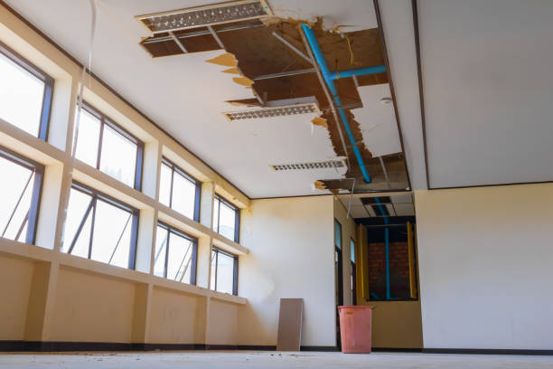 Best Water damage restoration near me  in Warsaw, VA