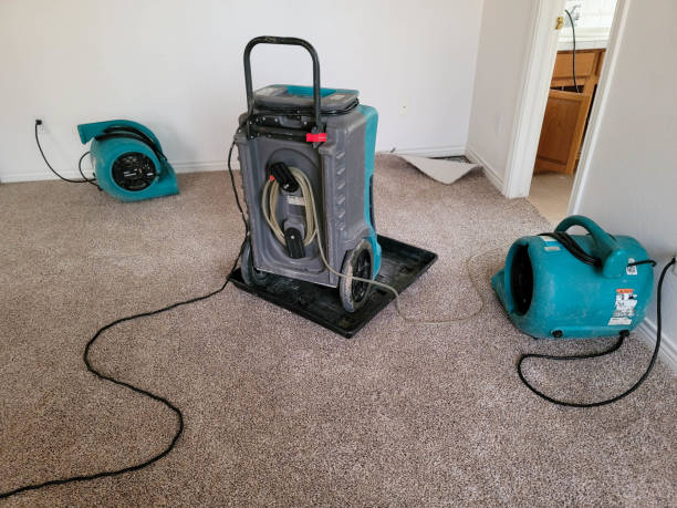 Best Residential water damage restoration  in Warsaw, VA
