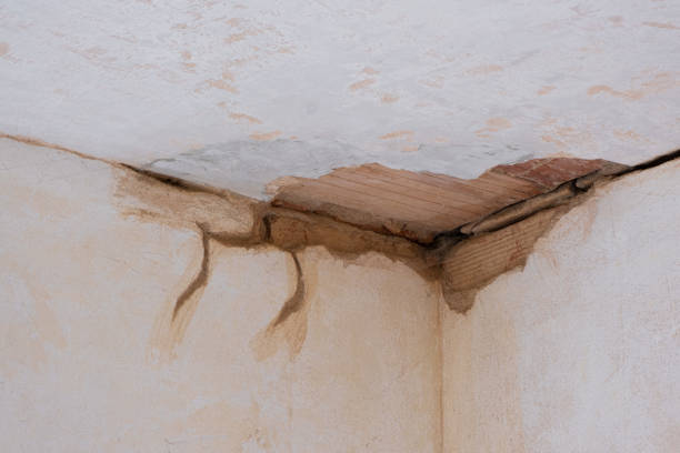 Best Water damage restoration process  in Warsaw, VA