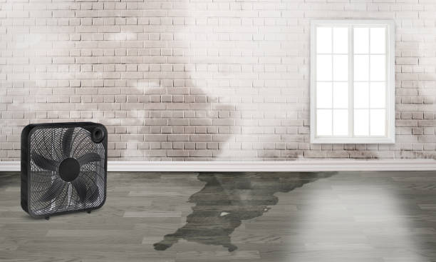 Best Water damage restoration cost  in Warsaw, VA