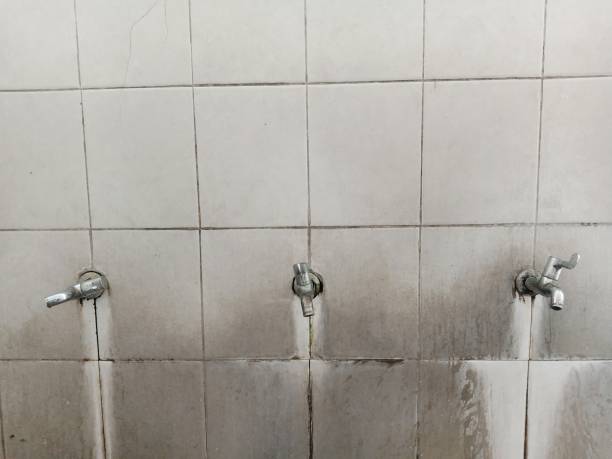 Best Water damage cleanup near me  in Warsaw, VA