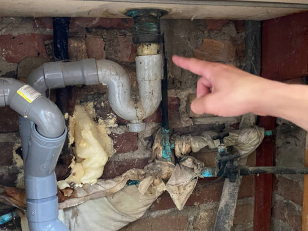 Best Flood damage cleanup  in Warsaw, VA