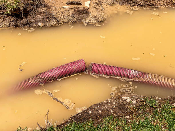 Best Emergency water damage restoration  in Warsaw, VA