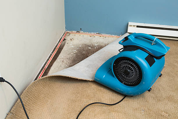 24/7 water damage repair in VA